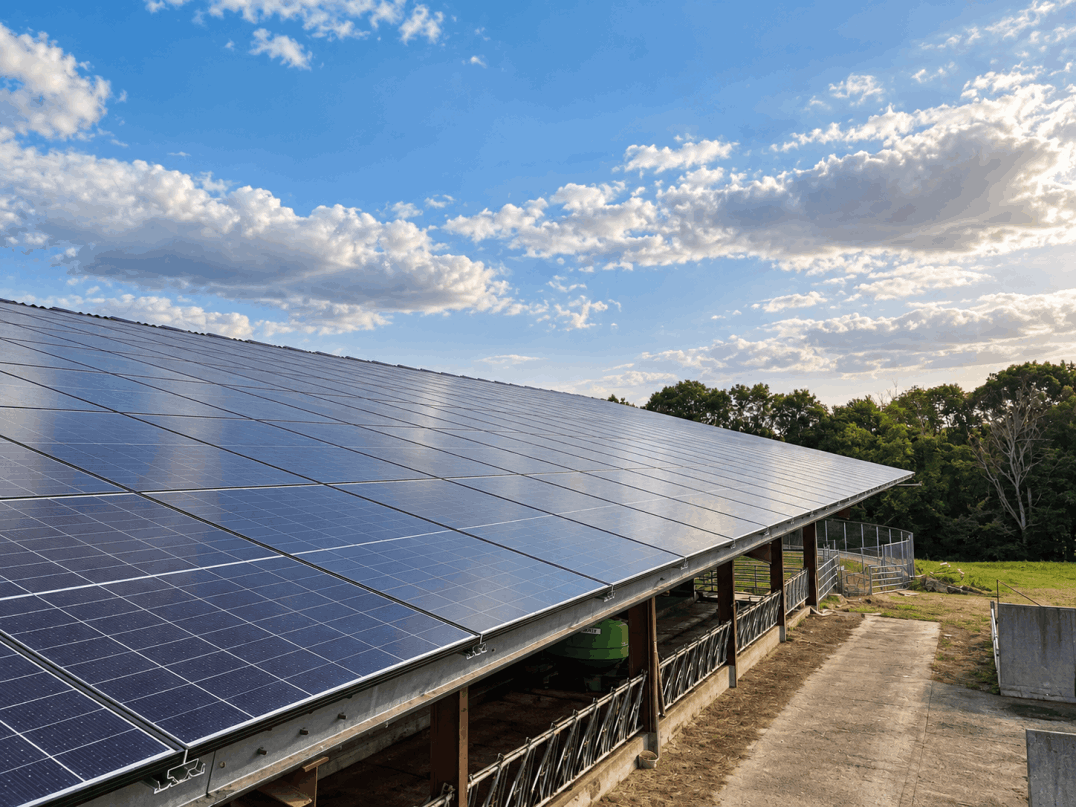 Bâtiment agricole équipé de panneaux photovoltaïques